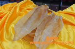 (现在吃中药多久后能吃鱼胶)鱼胶是什么鱼胶怎么吃