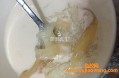 (燕窝鱼胶做法大全)花胶鲜奶炖燕窝汤