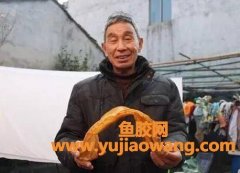(毛鲿鱼鱼胶怎么取)男子珍藏“鱼胶”35年，记者闻讯赶到现场进