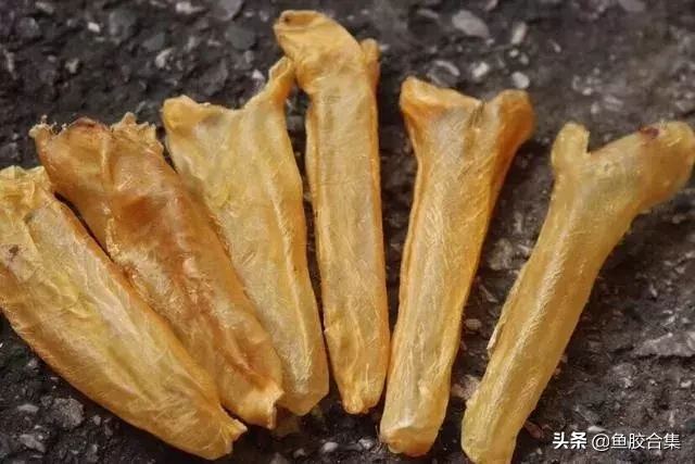 (什么东西会解鱼胶)两类吃花胶的心态，你属于哪种_