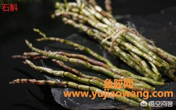 广东花胶煲瘦肉的做法(花旗参石斛煲瘦肉的做法？)