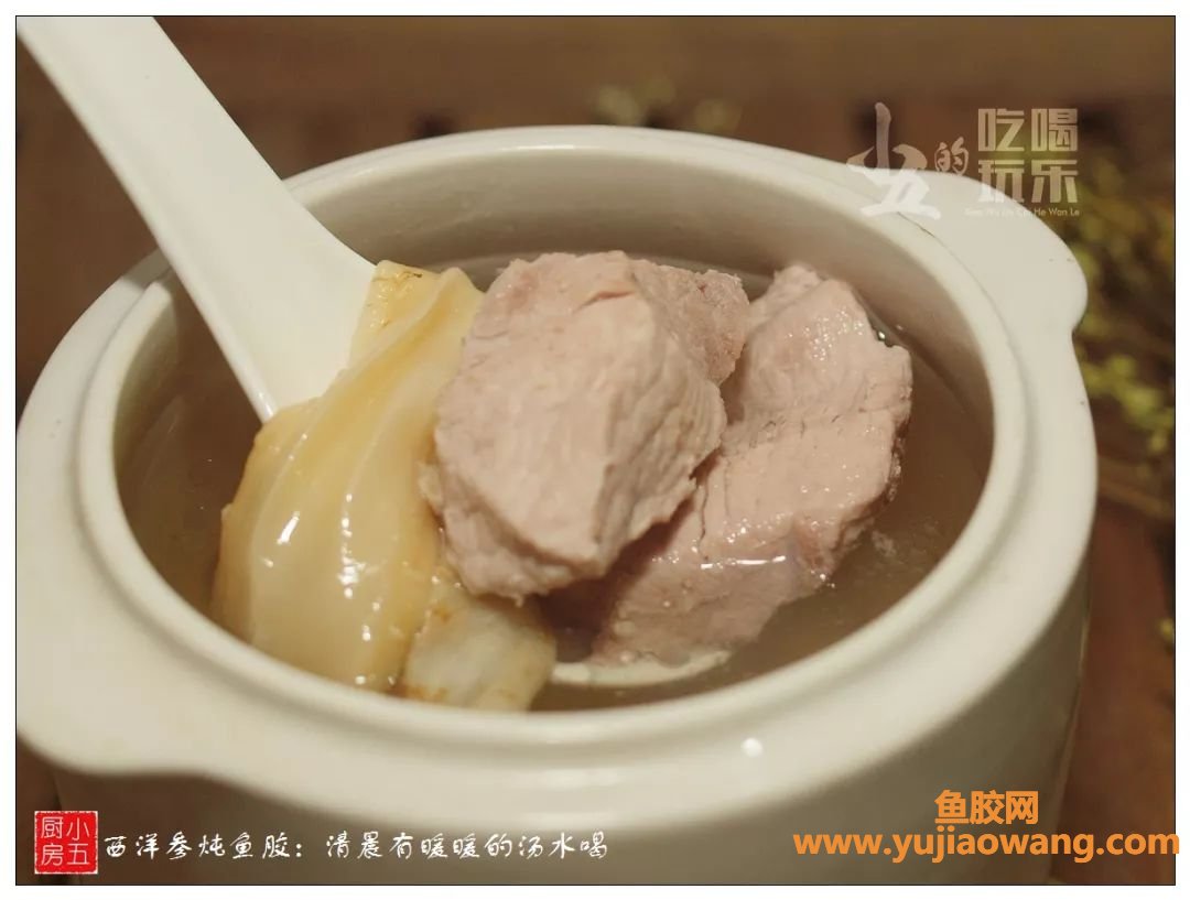 (鱼胶瘦肉西洋参炖汤做法)西洋参炖鱼胶_清晨有暖暖的汤水喝