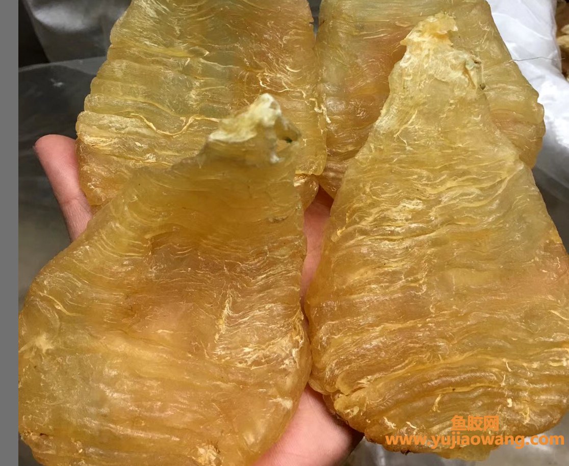 (鱼胶煲候头菇瘦肉的功效)跟这6种菌类搭配，花胶的6大功效效果翻倍