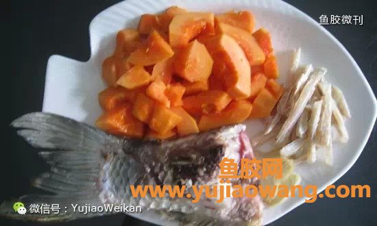 (鱼胶吃了会乳增生)催乳丰胸、提升魅力，鱼胶(花胶)的做法