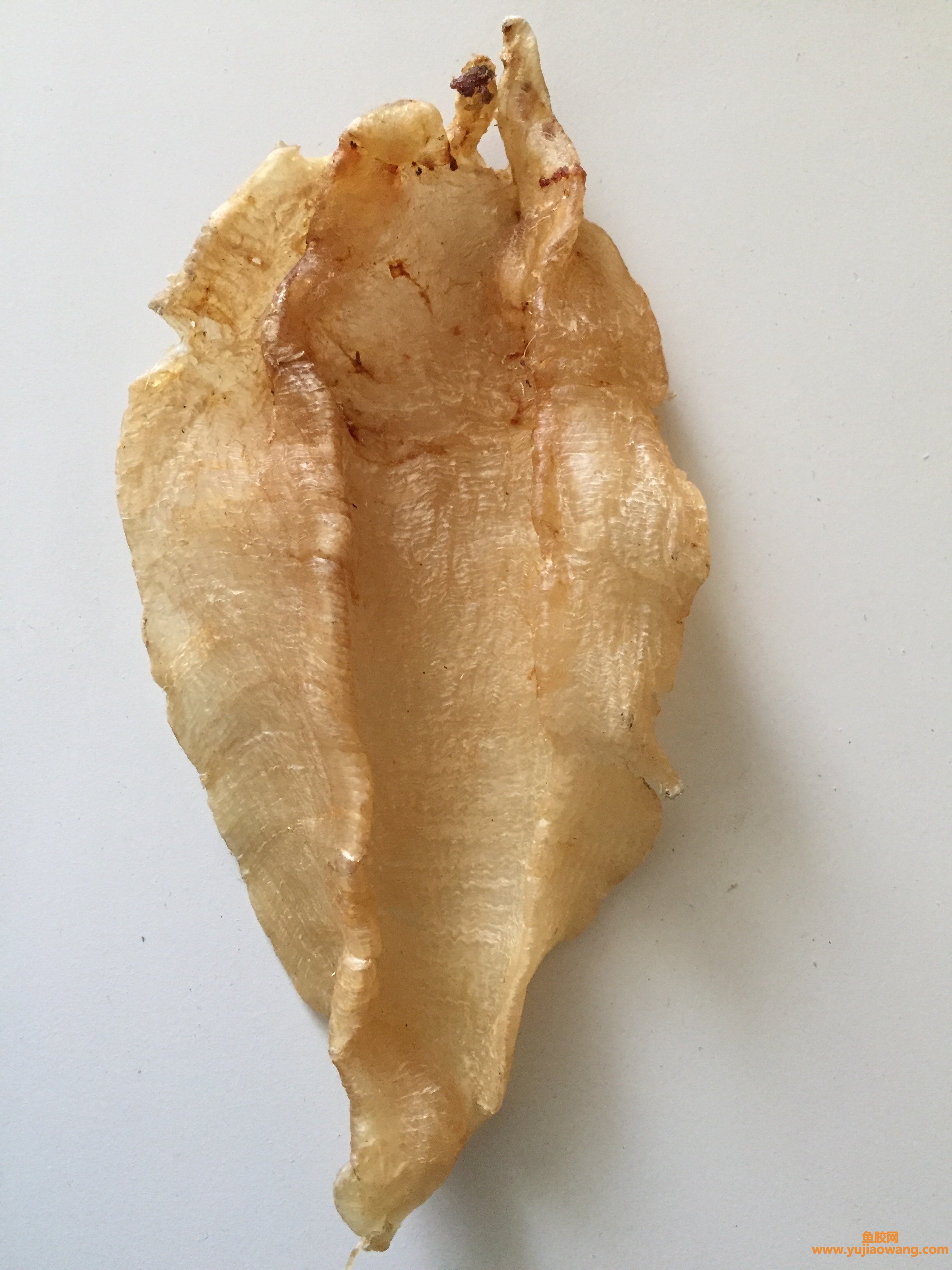 (鱼胶吃不下吞下去)花胶虽然功效强大，但做不好很难吃_你不妨可以试