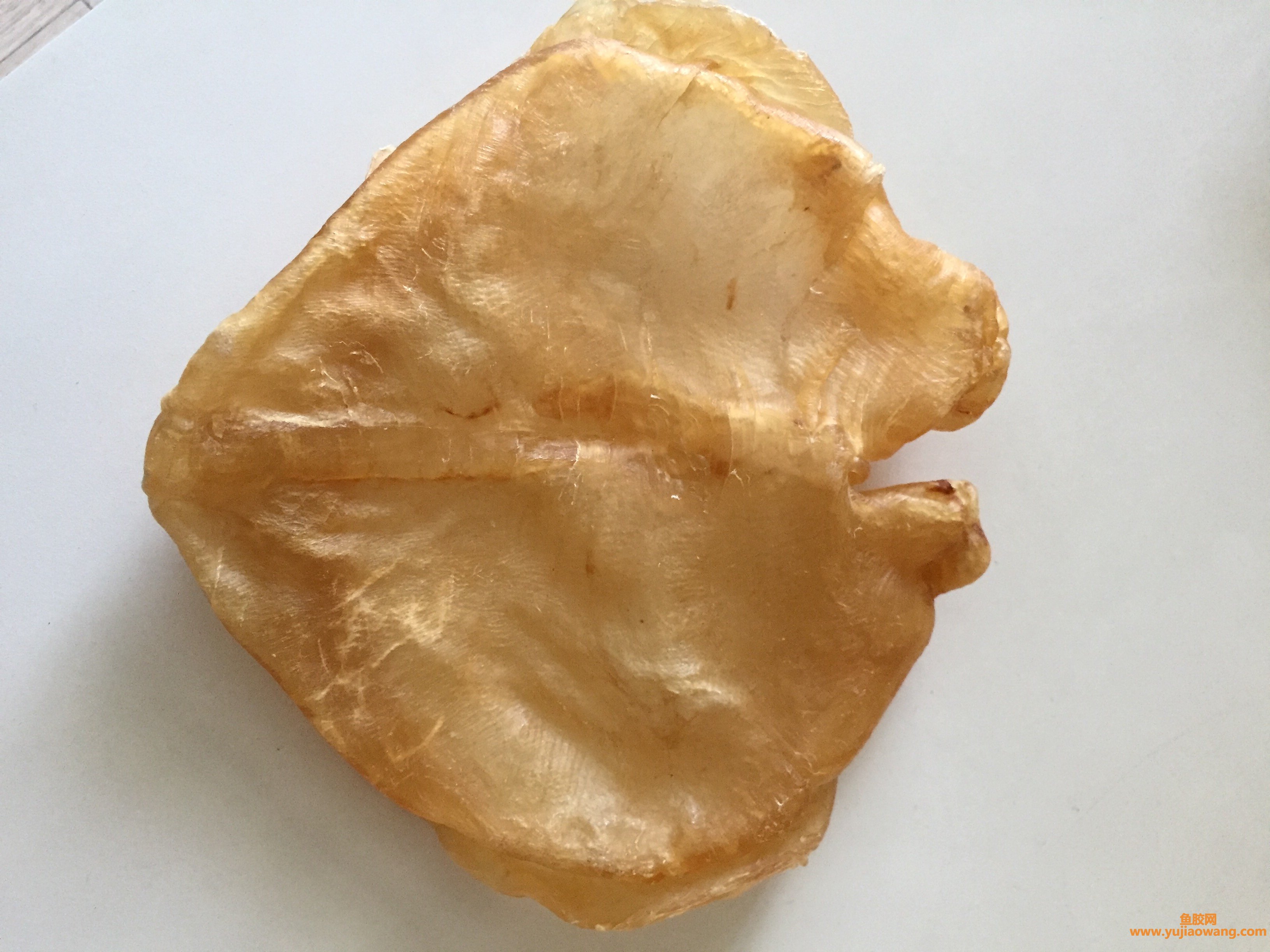 (鱼胶吃不下吞下去)花胶虽然功效强大，但做不好很难吃_你不妨可以试