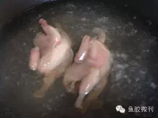 (鱼胶可以和鹌鹑一起吃吗)滋阴美容，枸杞鱼胶[花胶]炖鹌鹑的做法