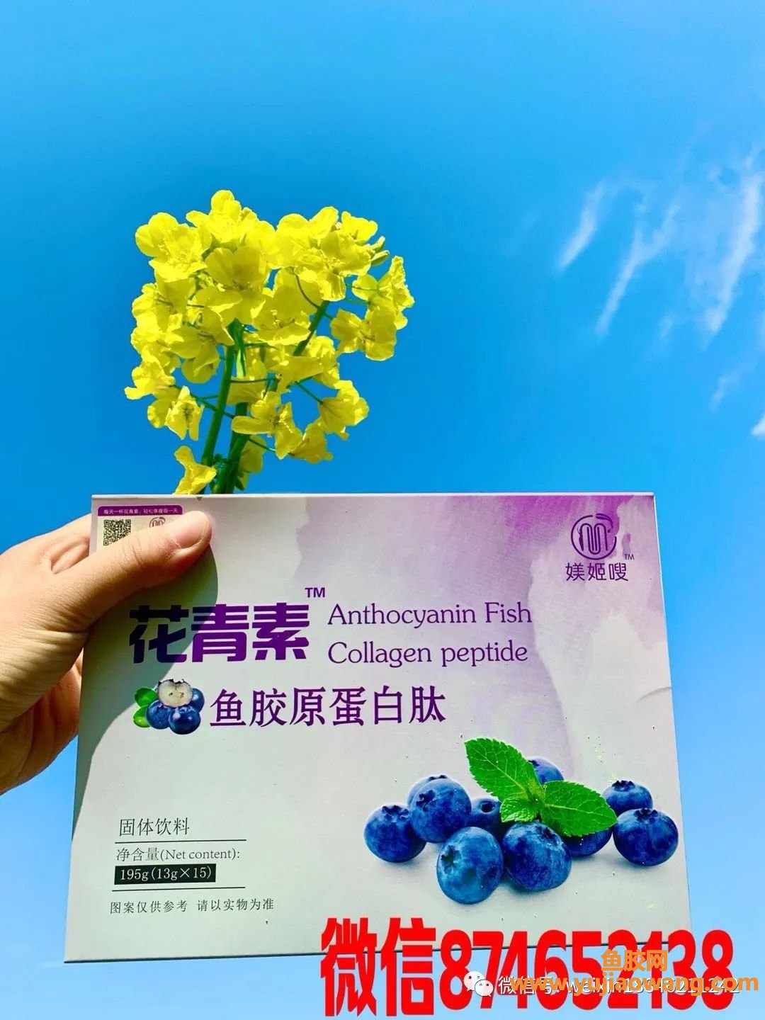 (鱼胶原蛋白肽的价格)媄姬嗖花青素鱼胶原蛋白肽代理价是多少_创始人