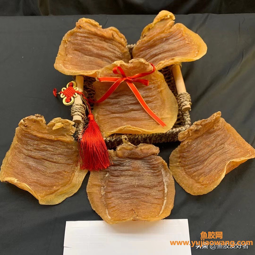 (鱼胶什么地方有卖)关于日常购买鱼胶的一些事儿