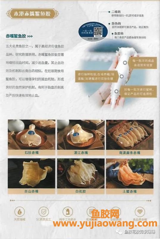 (鱼胶下午可以吃吗)花胶的吃法花胶的作用即食花胶