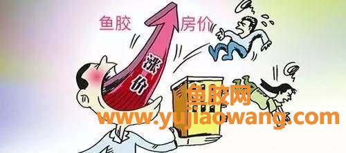 (金钱鮸鱼胶100克价格)跟它一比，房子卖得真是太便宜了_花胶也疯狂