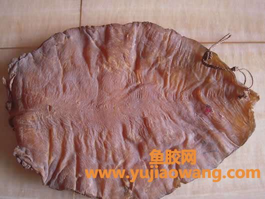 (金钱鮸鱼胶100克价格)跟它一比，房子卖得真是太便宜了_花胶也疯狂