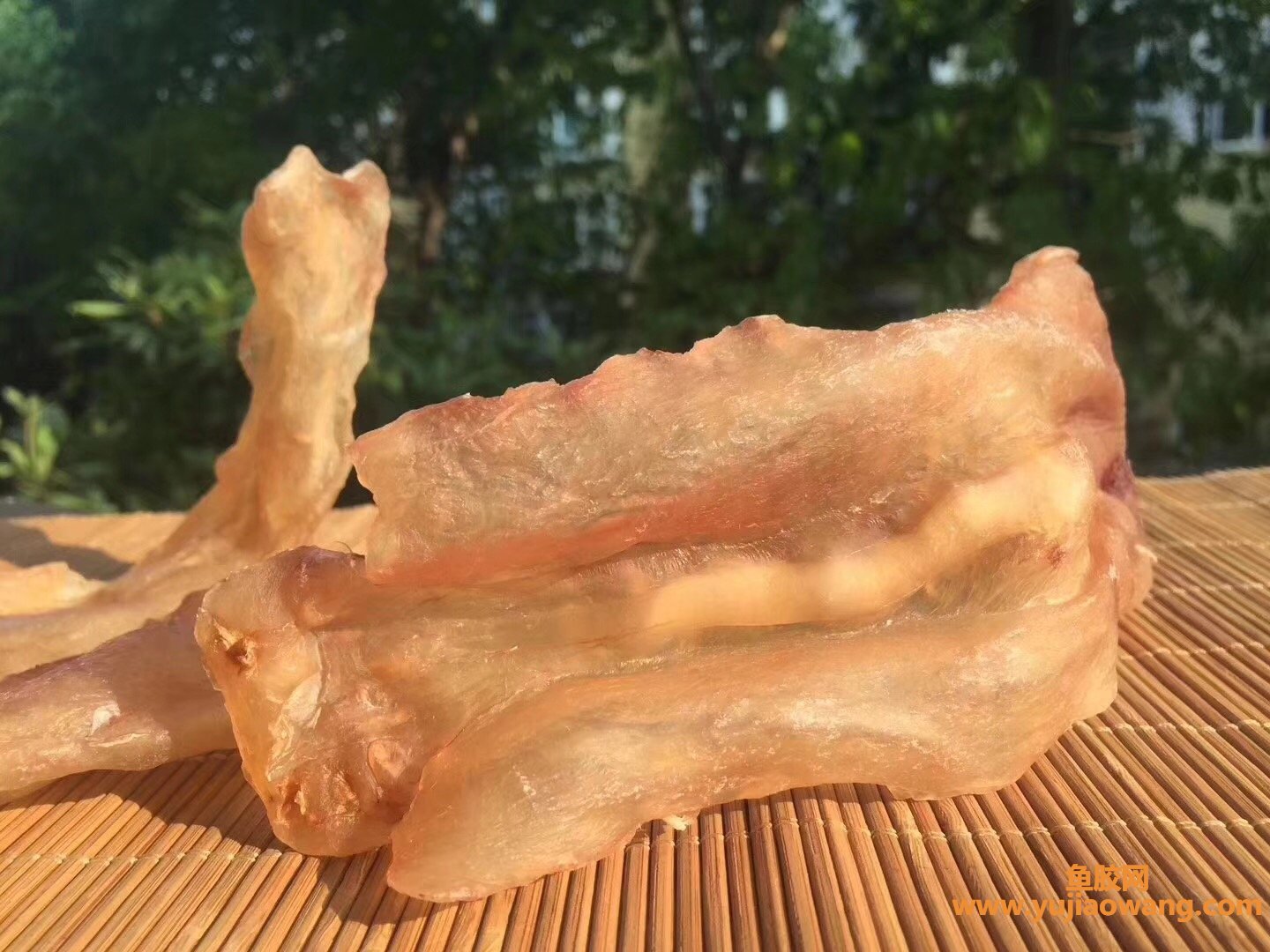 (金钱鮸鱼胶100克价格)跟它一比，房子卖得真是太便宜了_花胶也疯狂