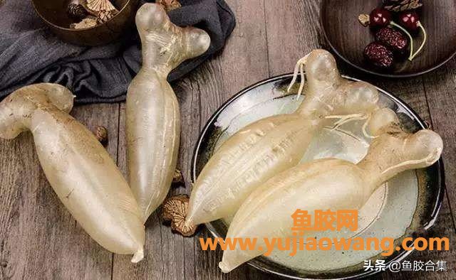 (蜘蛛鱼胶是什么鱼鳔)「鱼胶合集」花胶之蜘蛛胶，什么是蜘蛛胶_