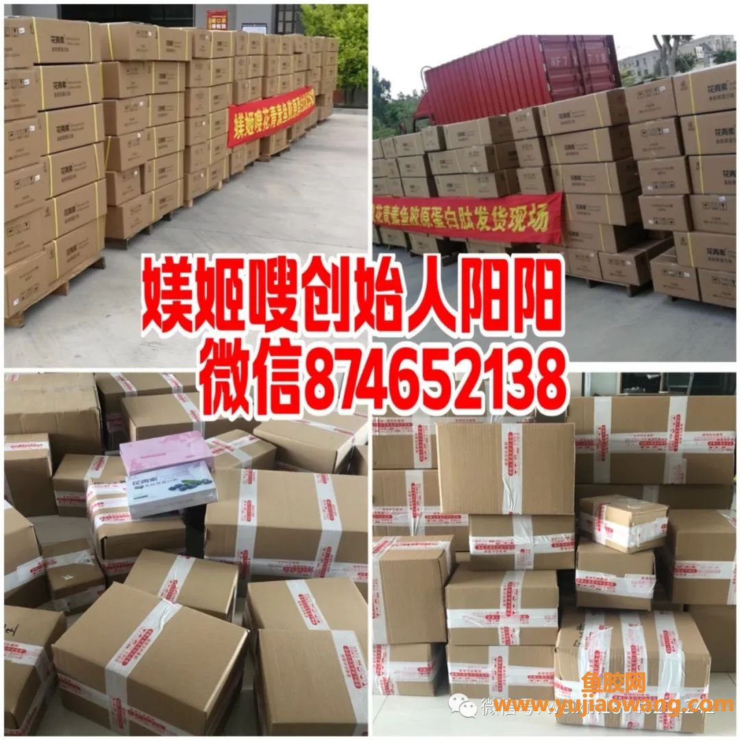 (水解鱼胶原蛋白肽)媄姬嗖花青素鱼胶原蛋白肽代理价是多少_创始人是