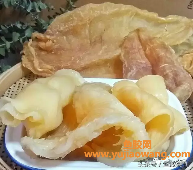 (椰子汁炖鱼胶的功效与作用)这里有一碗优秀的花胶汤，好喝哭了!