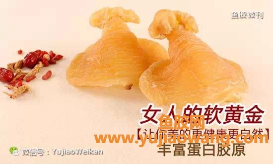 (月子一开始吃了鱼胶怎么办)女人怀孕和坐月子鱼胶[花胶]的吃法