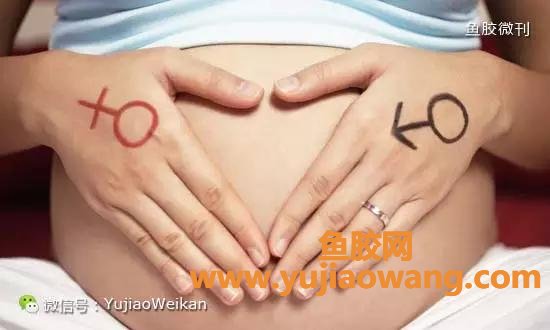 (月子一开始吃了鱼胶怎么办)女人怀孕和坐月子鱼胶[花胶]的吃法