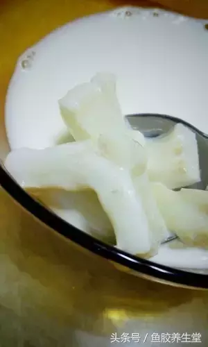 (新西兰鳕鳘鱼胶怎么泡)用这个方法泡发花胶，每一口下去都是满满的胶