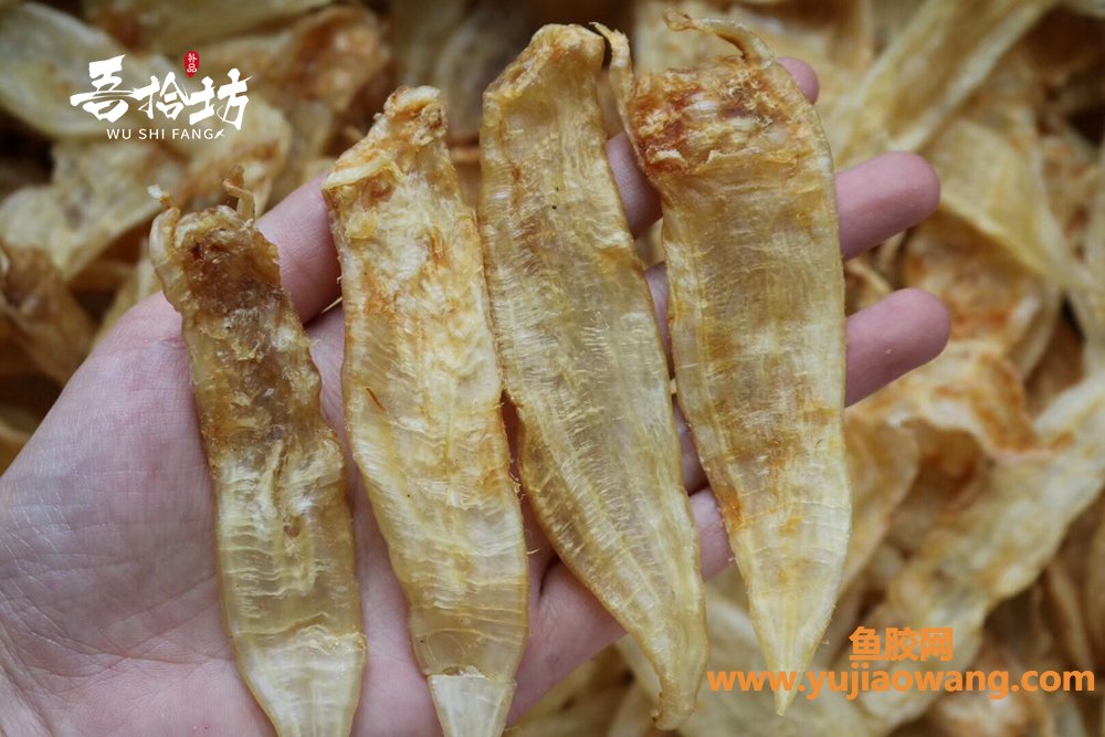 (手术后吃什么鱼胶)「吾拾坊」第十二期丨鱼胶科普,鱼胶种类有很多, (手术后吃什么鱼胶)「吾拾坊」第十二期丨鱼胶科普,鱼胶种类有很多,