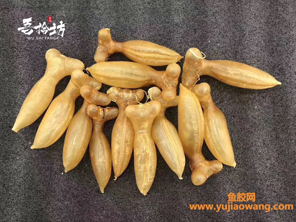 (手术后吃什么鱼胶)「吾拾坊」第十二期丨鱼胶科普,鱼胶种类有很多, (手术后吃什么鱼胶)「吾拾坊」第十二期丨鱼胶科普,鱼胶种类有很多,