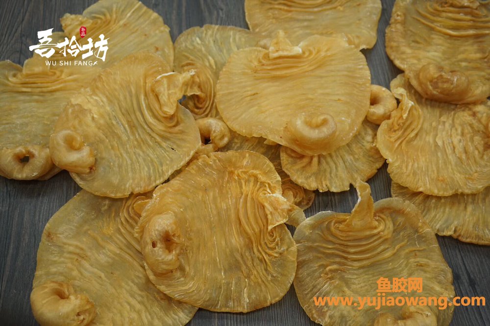 (手术后吃什么鱼胶)「吾拾坊」第十二期丨鱼胶科普,鱼胶种类有很多, (手术后吃什么鱼胶)「吾拾坊」第十二期丨鱼胶科普,鱼胶种类有很多,