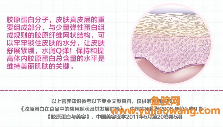 (丰胸鱼胶原蛋白肽排行榜)护肤达人试遍十种胶原蛋白，告诉你胶原蛋白