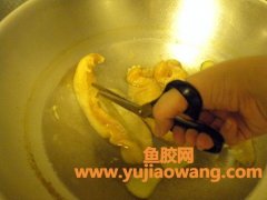 (鱼胶煲鸡西洋参的作用)女人衰老的杀手---花胶