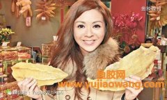 (鱼胶吃了会乳增生)催乳丰胸、提升魅力，鱼胶(花胶)的做法