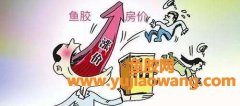 (金钱鮸鱼胶100克价格)跟它一比，房子卖得真是太便宜了_花胶也