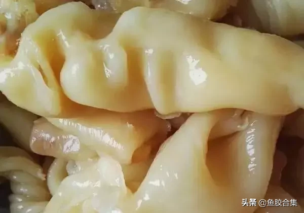 (猪肚鱼胶排骨可以一起煮嘛)炖好的鱼胶，喝汤好还是吃肉好_炖