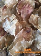 (浙江大口鱼胶的功效)「鱼胶合集」花胶之大口胶简介，什么是