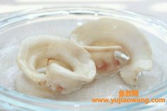 (新西兰鳕鳘鱼胶怎么泡)2种最简单营养的鱼胶泡发方法