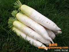 (吃鱼胶补品后后不可以吃什么)秋冬阿胶补血，不能和以下几种