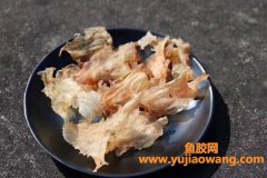 (为什么鱼胶越大效果越好)我居然疏忽了_花胶的“胶龄”这个概