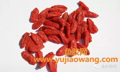 (鱼胶莲子枸杞的功效止咳吗)鱼胶(花胶)炖什么好_十款有显著疗效的辅料