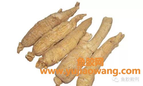 (鱼胶莲子枸杞的功效止咳吗)鱼胶(花胶)炖什么好_十款有显著疗效的辅料
