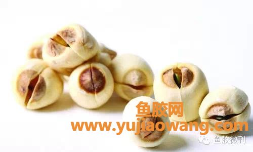 (鱼胶莲子枸杞的功效止咳吗)鱼胶(花胶)炖什么好_十款有显著疗效的辅料