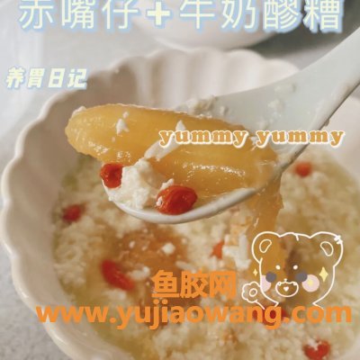(鱼胶牛奶搭配什么一起吃)正宗快手醪糟花胶牛奶做法，最关键的是一学