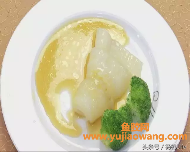 (鱼胶哮喘可以吃吗)鱼胶怎么烹制才美味_你知道吗_