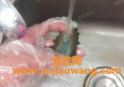 (鱼胶和海参的功效)鱼胶(花胶)炖海参，简简单单也能达到滋补养颜大作