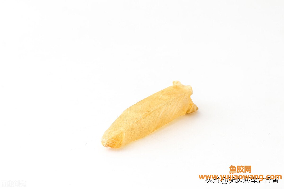 (鱼胶吃了会口渴吗)食材小常识_花胶是鱼肚吗、花胶是鱼胶吗 (鱼胶吃了会口渴吗)食材小常识_花胶是鱼肚吗、花胶是鱼胶吗