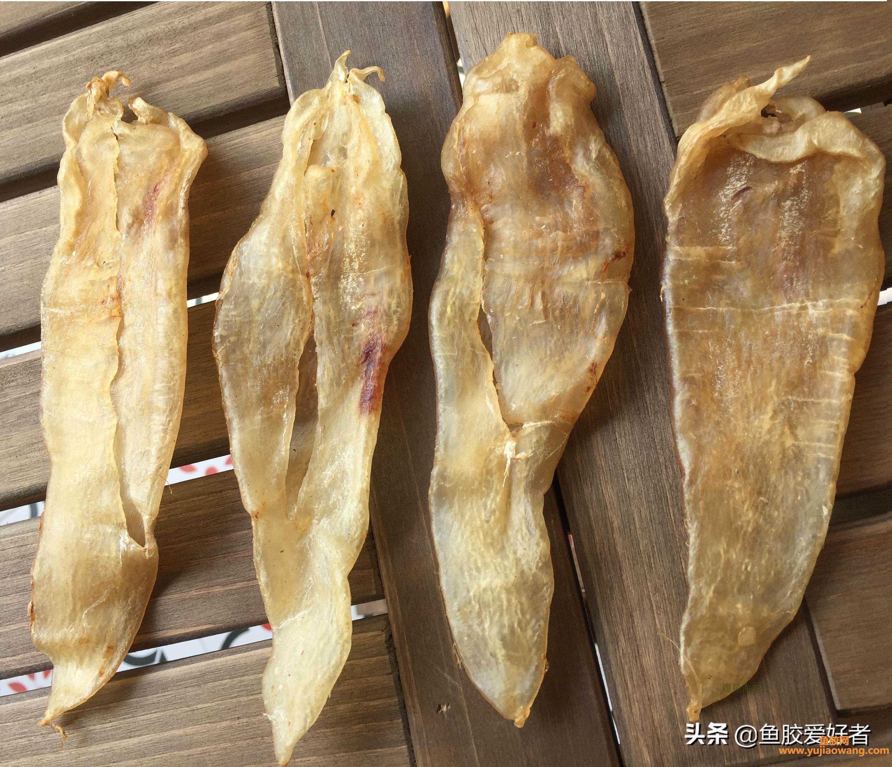 (鱼胶变质了是怎么样)带血丝，血迹、有的还有破洞的鱼胶，还能吃吗