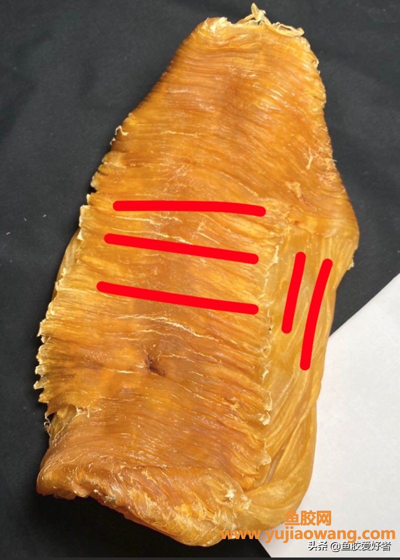 (鱼胶一般吃哪种鱼)吃不起白花胶赤嘴胶_那又不想吃低端的胶，那就看