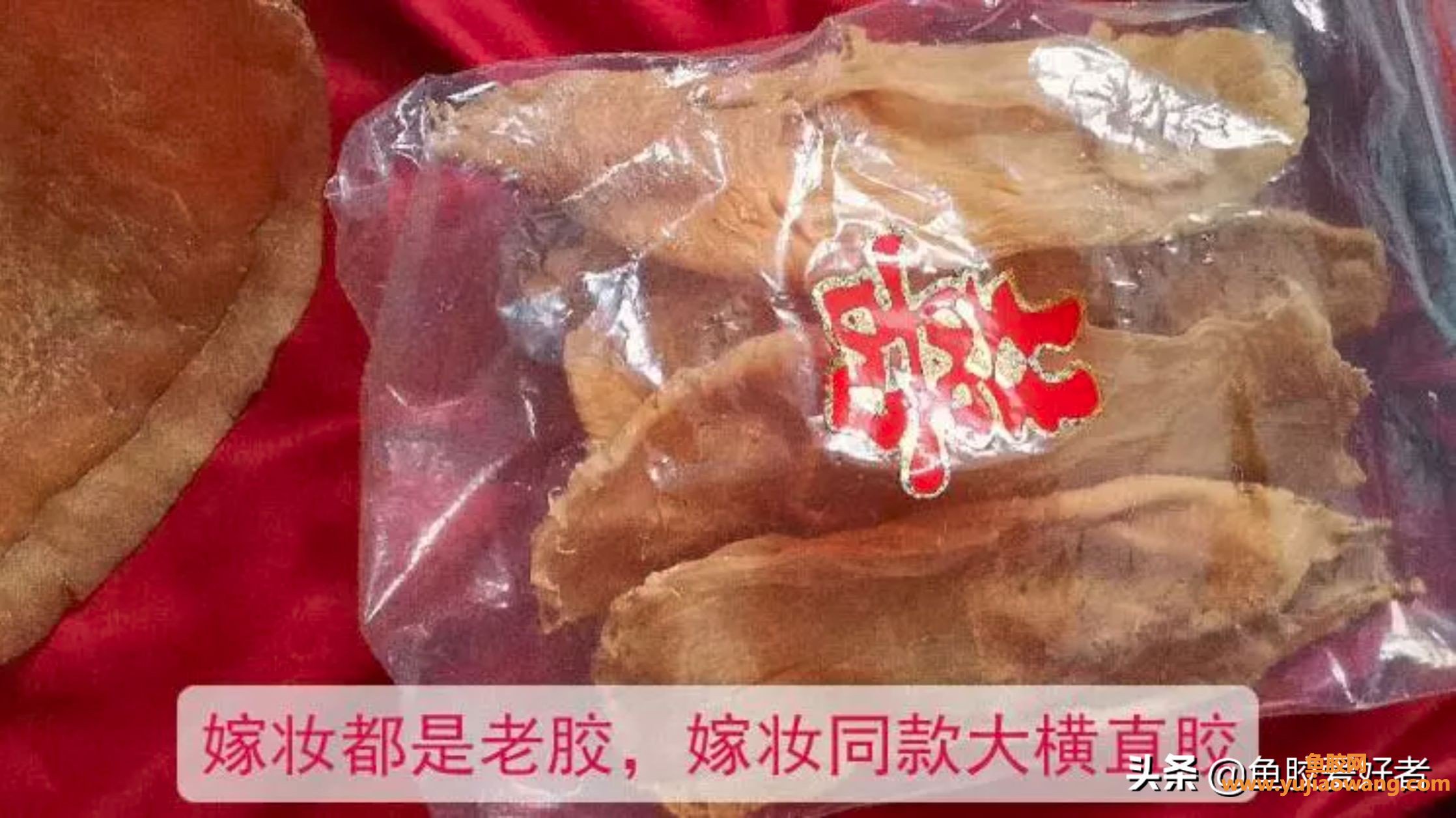 (鱼胶一般吃哪种鱼)吃不起白花胶赤嘴胶_那又不想吃低端的胶，那就看