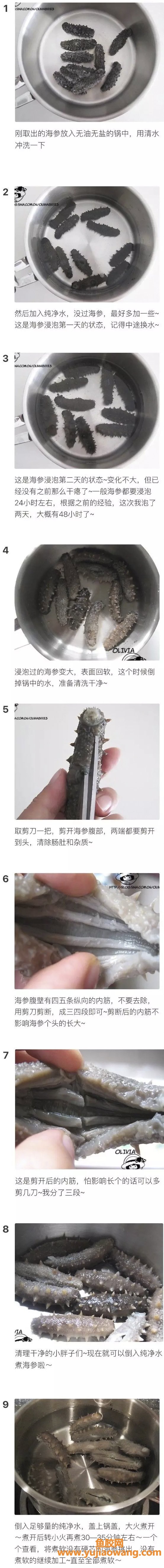 (肺热痘痘能吃鱼胶吗)最全燕窝，花胶，海参泡发攻略和用法