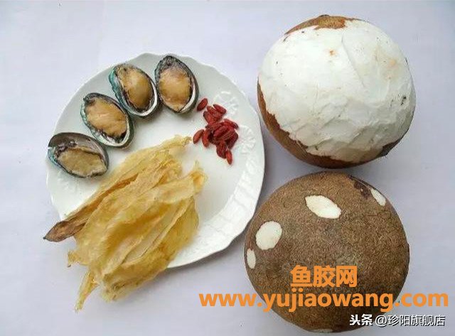(椰子汁炖鱼胶的功效与作用)冬天滋补靓汤-花胶鲍鱼椰子汤