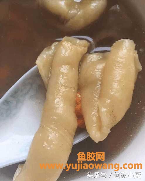 (孕妇鳕鱼胶的做法大全)鳕鱼花胶滋补佳品，没有腥味做法多样，你想吃