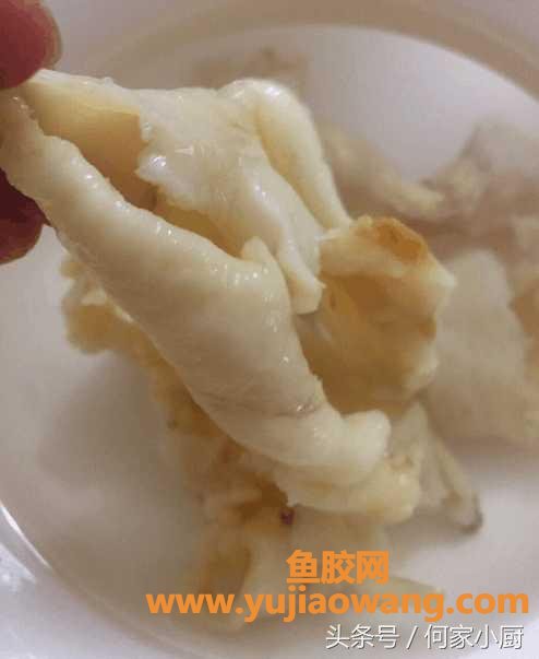 (孕妇鳕鱼胶的做法大全)鳕鱼花胶滋补佳品，没有腥味做法多样，你想吃