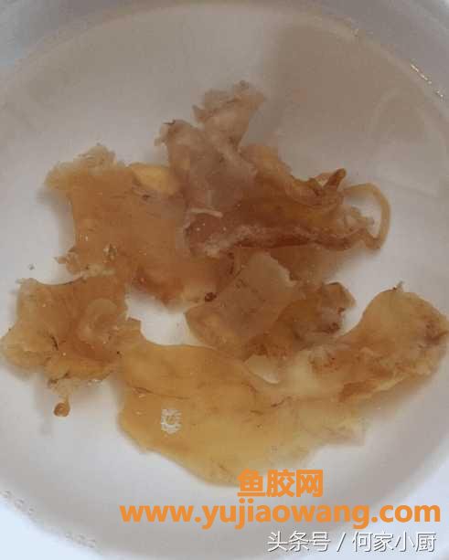 (孕妇鳕鱼胶的做法大全)鳕鱼花胶滋补佳品，没有腥味做法多样，你想吃